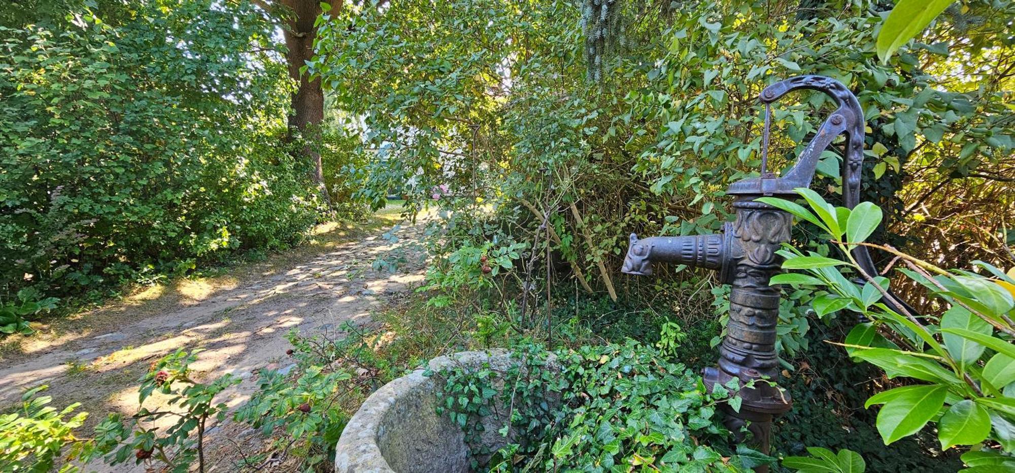 F -Haus FH10 Die Alte Mühle Graal-Mueritz Exterior foto